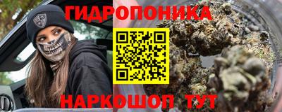 гашик Ливны