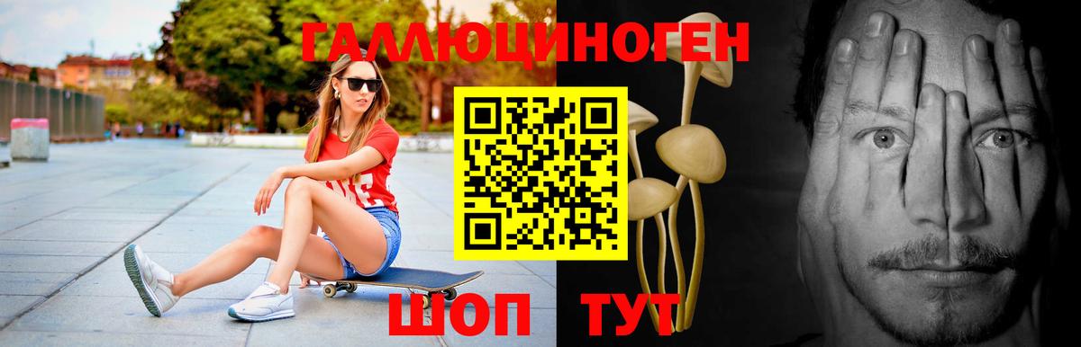 Черняховск  Галлюциногенные грибы прущие грибы  Вход с VPN 