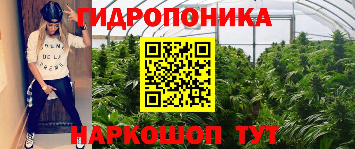 Марихуана AK-47  Канабис конопля  Каннабис план  Черняховск  Вход с VPN 